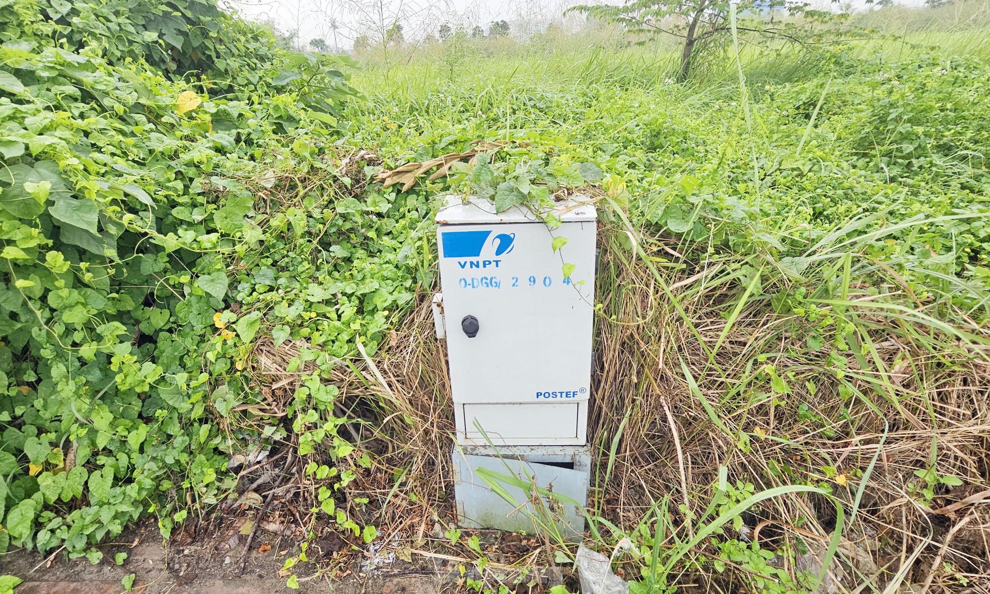 Hiện trạng khu 'đất vàng' Hà Nội sắp đấu giá với giá khởi điểm hơn 2.000 tỷ ảnh 9