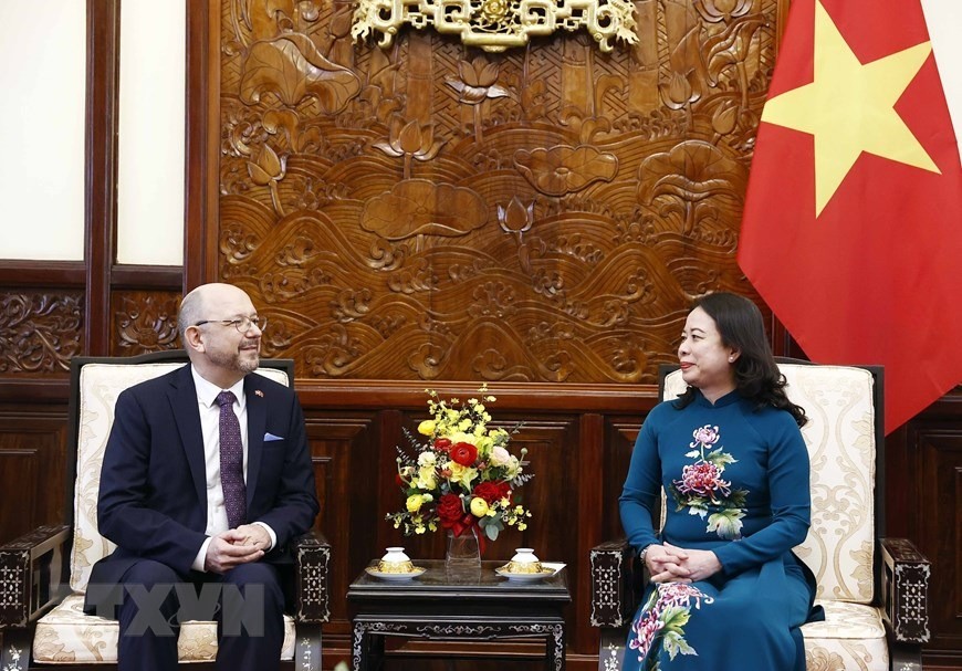 Hình ảnh Quyền Chủ tịch nước Võ Thị Ánh Xuân tiếp các đại sứ đến trình quốc thư ảnh 13