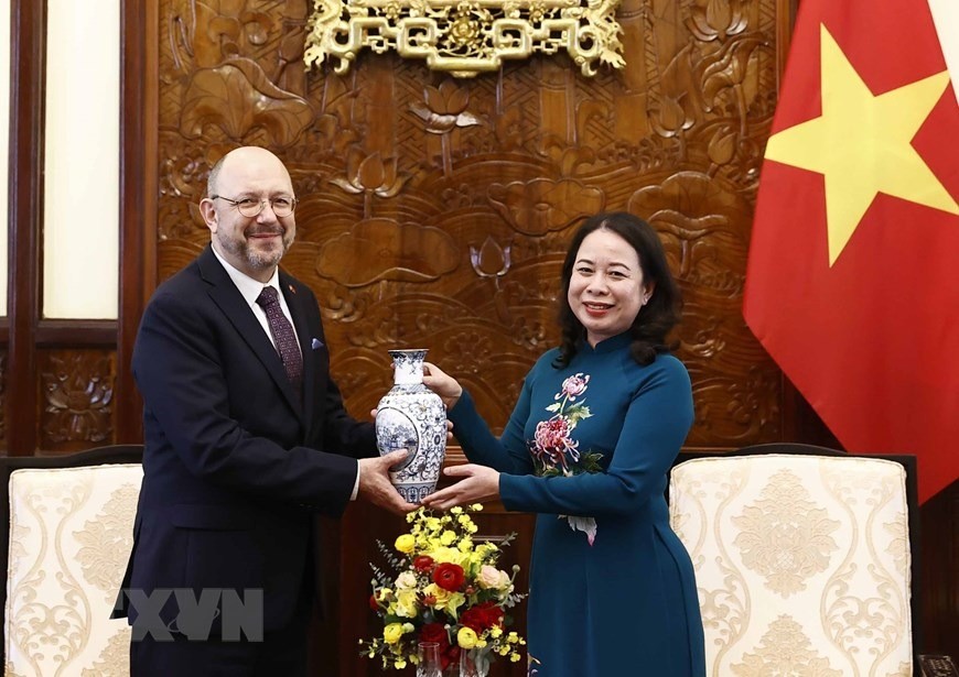 Hình ảnh Quyền Chủ tịch nước Võ Thị Ánh Xuân tiếp các đại sứ đến trình quốc thư ảnh 14