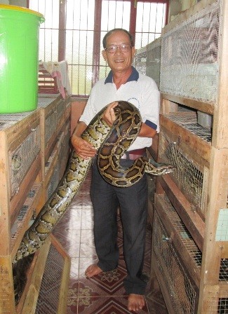 Cách nuôi Trăn bóng  Trăn Ball python  Đúng tiêu chuẩn