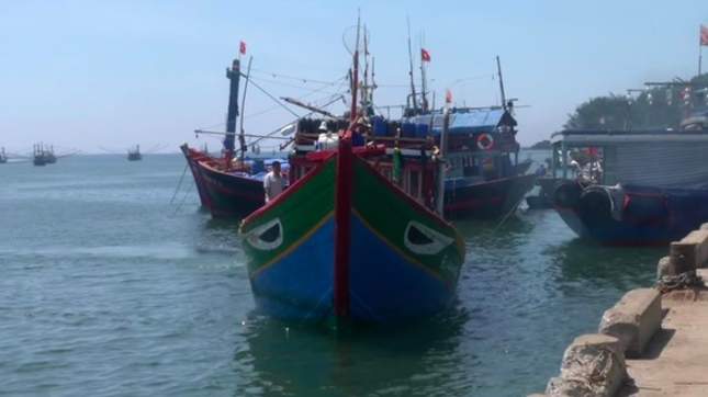 Yêu cầu Trung Quốc phối hợp giải quyết vụ chèn ép tàu cá Việt Nam ở Hoàng Sa ảnh 1