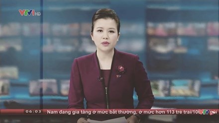 Các biên tập viên đình đám rời VTV giờ làm gì? ảnh 6
