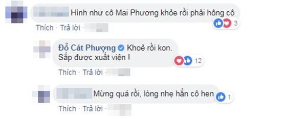 Tin mới nhất về tình hình sức khỏe của diễn viên Mai Phương ảnh 1