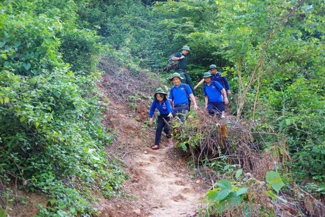 Tỉnh đoàn Nghệ An được Chủ tịch nước tặng Huân chương Lao động hạng Ba ảnh 3