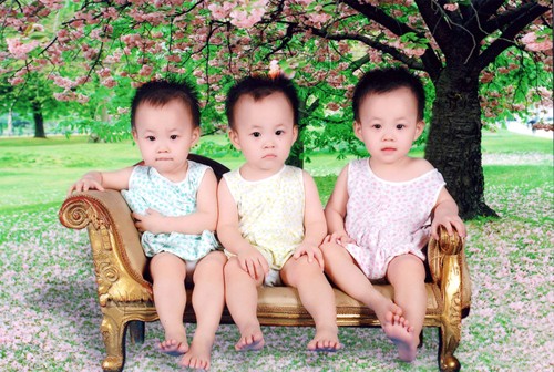 Gia đình Hà Nội có 3 bé gái sinh ba đến bố cũng hay nhầm ảnh 1
