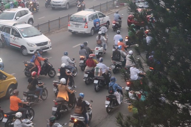 TPHCM 'bác' thông tin khói bụi mù mịt do cháy rừng ở Indonesia ảnh 1
