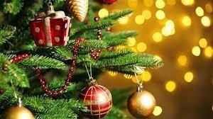 Nhiều người Mỹ thích đặt vật trang trí hình gì trên cây thông Noel?
