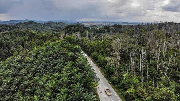 Thủ đô của Indonesia có tên là gì?