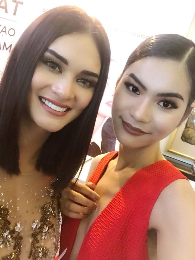 Ông trùm HH Philippines tìm thấy 'bản sao' của Pia Wurtzbach ở Việt Nam ảnh 1