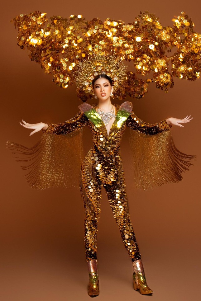 Những trang phục dân tộc độc đáo mà mỹ nhân Việt mang tới đấu trường sắc đẹp quốc tế 2021 ảnh 1
