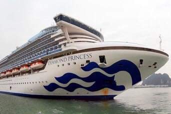 Hướng dẫn viên đoàn tàu Diamond Princess quay lại phòng cách ly sau khi bỏ trốn ảnh 1
