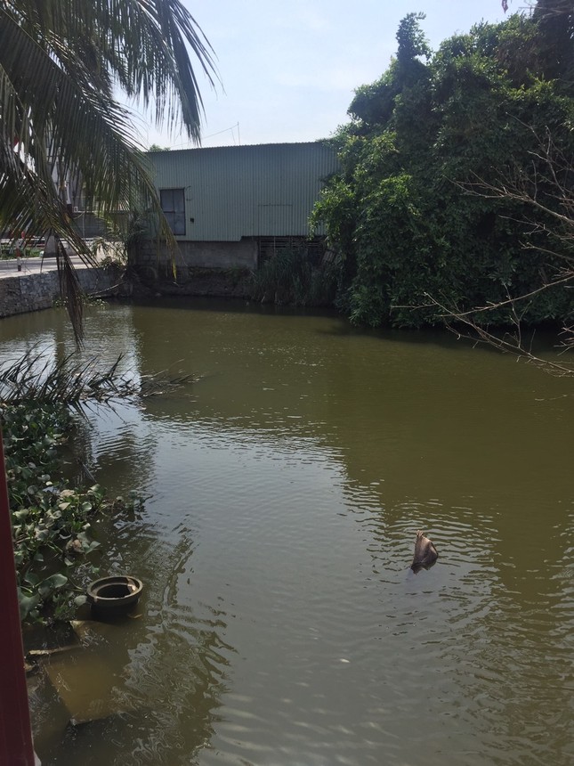 Hải Phòng thu hồi toàn bộ nước đóng chai 'hóa phép' từ mương nước thải ảnh 2