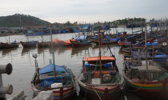 Một ngày theo “Chiến binh” biển cả ra khơi ảnh 1