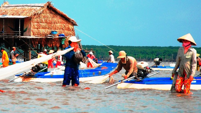 Sinh kế người nghèo, máu đổ ở bãi nghêu Khai Long ảnh 2
