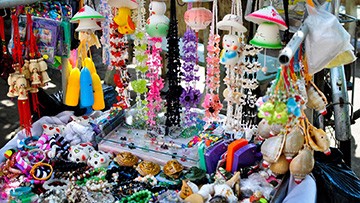 Chuyên gia hiến kế cứu di sản, cảnh quan ảnh 1