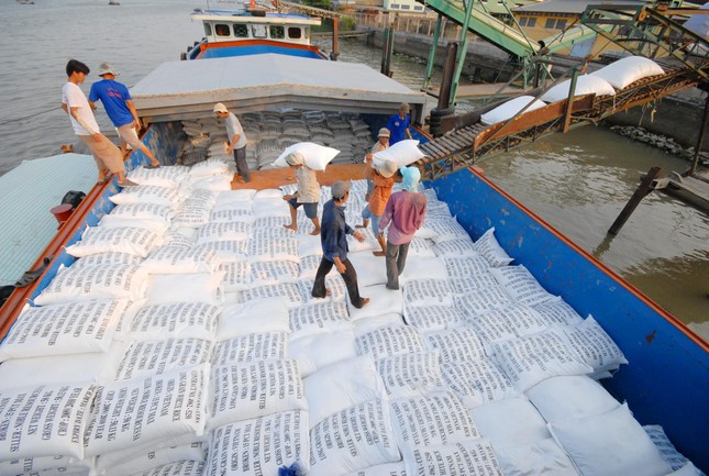 Xuất hiện tình trạng gạo Campuchia, Ấn Độ ồ ạt vào Việt Nam ảnh 1