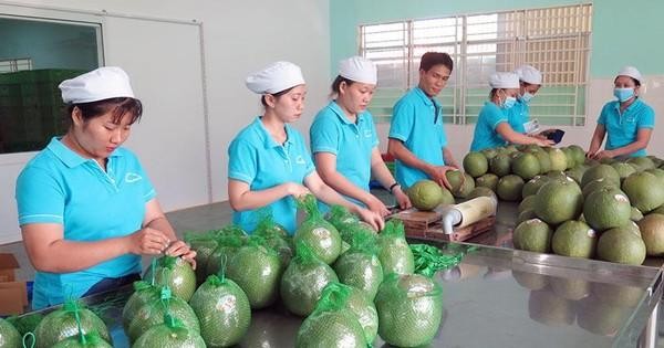  Tin vui bất ngờ với nhiều mặt hàng nông sản Việt ảnh 1