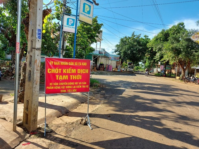 Vừa hết cách ly COVID, Buôn Ma Thuột lại công bố dịch cúm H5N6 ảnh 1