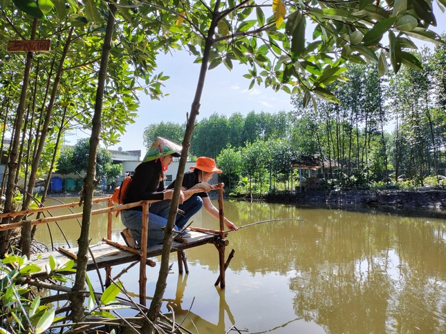 Du khách 'săn' cua Cà Mau bằng chiếc cần câu độc nhất vô nhị ảnh 4