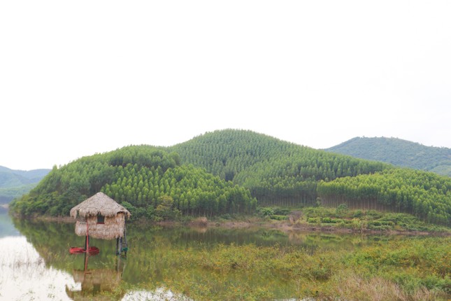 Siêu dự án nghĩa trang ở Bắc Giang: Nguy cơ xóa sổ hàng trăm ha rừng - Ảnh 1.