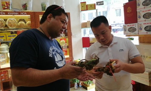 Thương nhân Hong Kong vượt nghìn km sang Việt Nam mua sâm Ngọc Linh ảnh 1
