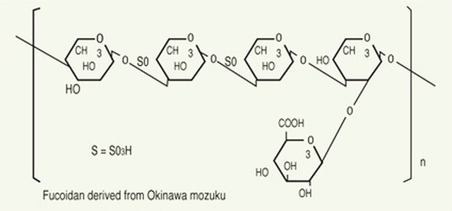 Món quà tuyệt vời cho sức khỏe từ Fucoidan có nguồn gốc từ tảo nâu ảnh 2