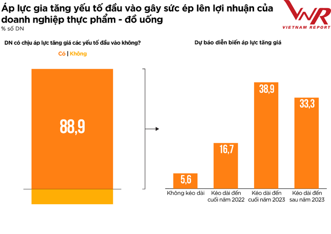 Top 10 Công ty uy tín ngành Thực phẩm - Đồ uống năm 2022 ảnh 10