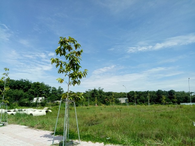 Vụ ‘xẻ' 7.000 m2 đất công phân lô bán nền: Ngưng mọi hoạt động giao dịch ảnh 3
