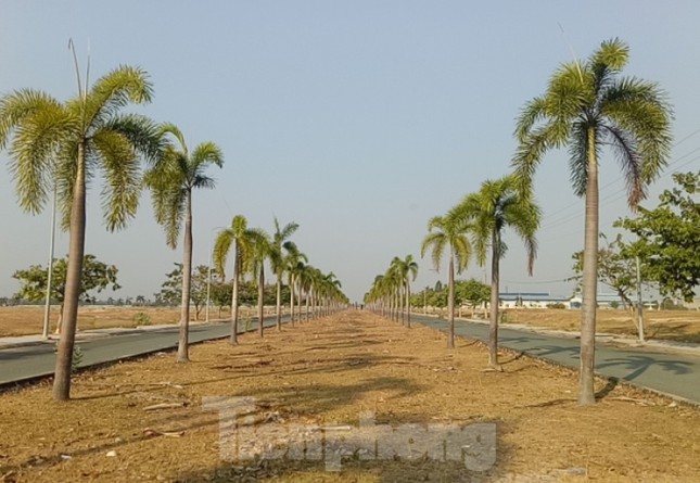 Cận cảnh khu công nghiệp ‘đắp chiếu’ 16 năm ở Bình Dương ảnh 6