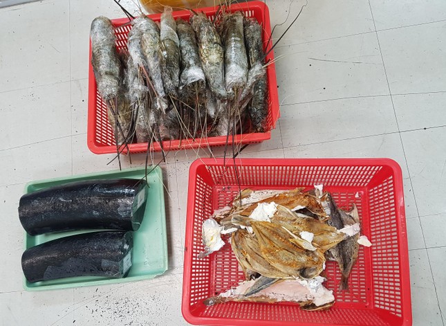 Bắt giữ người đàn ông vận chuyển ngà voi qua đường hàng không ảnh 1