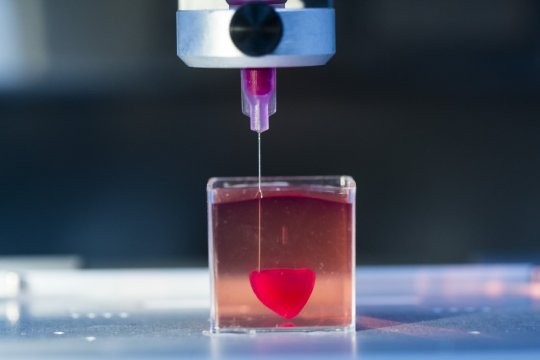 Quả tim đầu tiên trên thế giới in 3D từ mô người ảnh 1