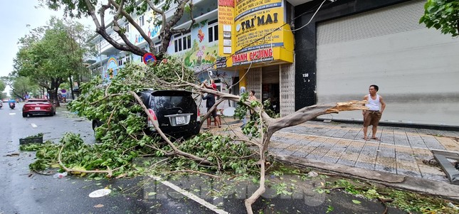 Đà Nẵng ngổn ngang sau bão Molave ảnh 4