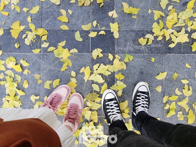 Cuộc thi viết Trà sữa cho tâm hồn: Cậu vẫn mãi luôn ở đây, nhưng chỉ là kẻ vô hình! ảnh 1