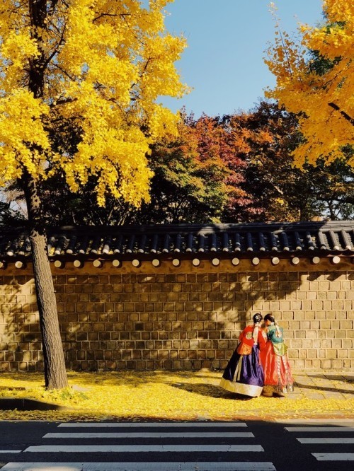 Cuộc thi viết Trà sữa cho tâm hồn: Cảm ơn và tạm biệt Seoul, thành phố tôi đã yêu! ảnh 2