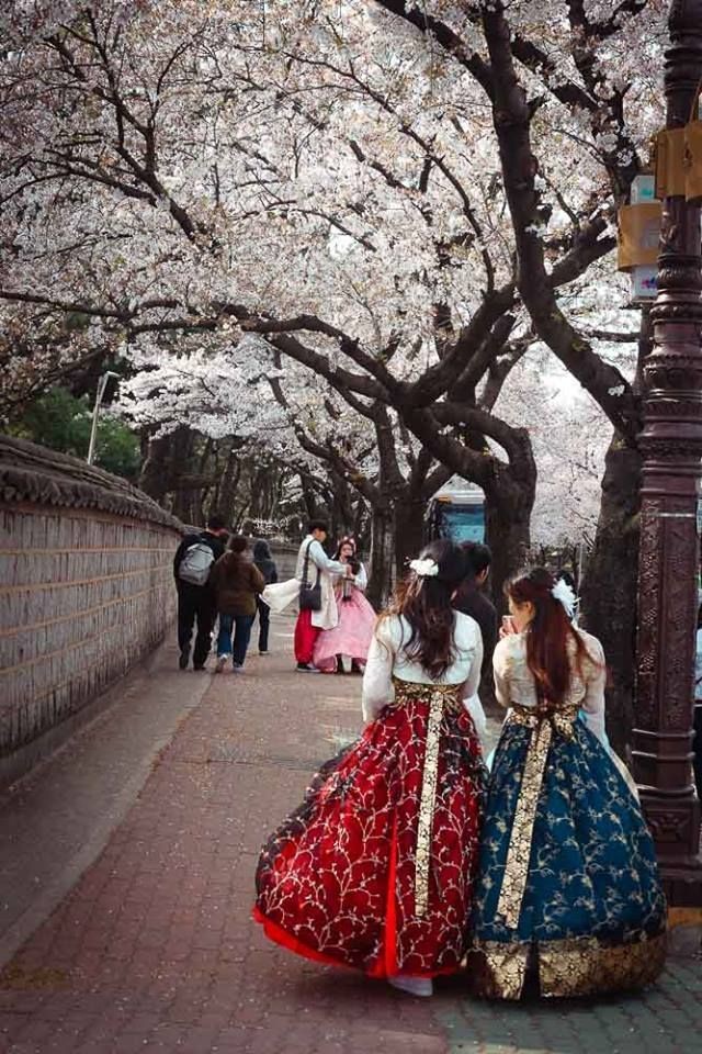 Cuộc thi viết Trà sữa cho tâm hồn: Cảm ơn và tạm biệt Seoul, thành phố tôi đã yêu! ảnh 1