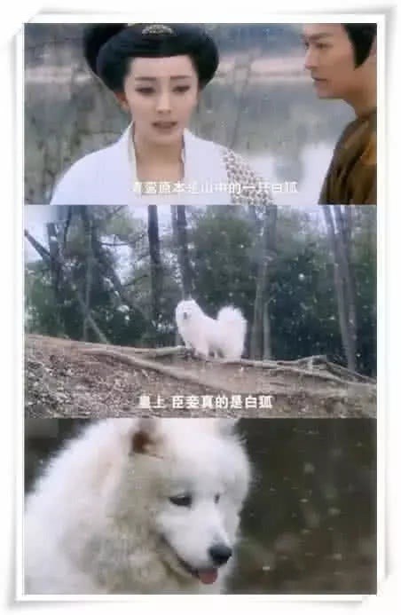 Khi các “hoàng thượng” đi đóng phim”: Lang Điện Hạ phải đặc biệt tìm “diễn viên nhí“! ảnh 2