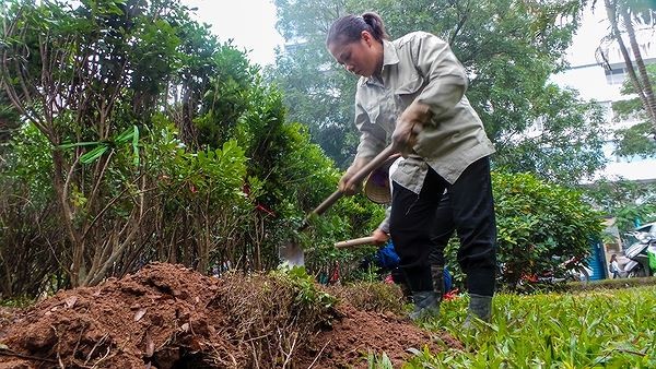 Hà Nội bất ngờ hủy thầu ở đường 'đẹp nhất Việt Nam' ảnh 2