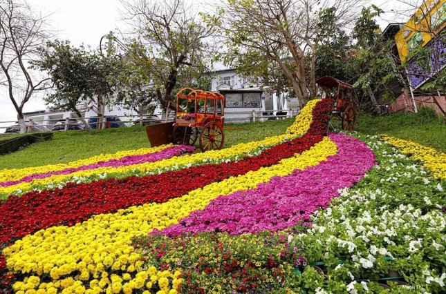 Đắm mình trong Festival hoa Đà Lạt: Nhiều hoạt động thú vị, "ngã đâu cũng có ảnh đẹp"! ảnh 1