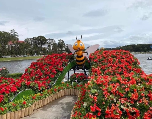 Đắm mình trong Festival hoa Đà Lạt: Nhiều hoạt động thú vị, "ngã đâu cũng có ảnh đẹp"! ảnh 2