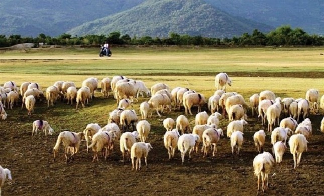 Đắm mình trong thiên nhiên hoang sơ mùa lễ lớn ảnh 1