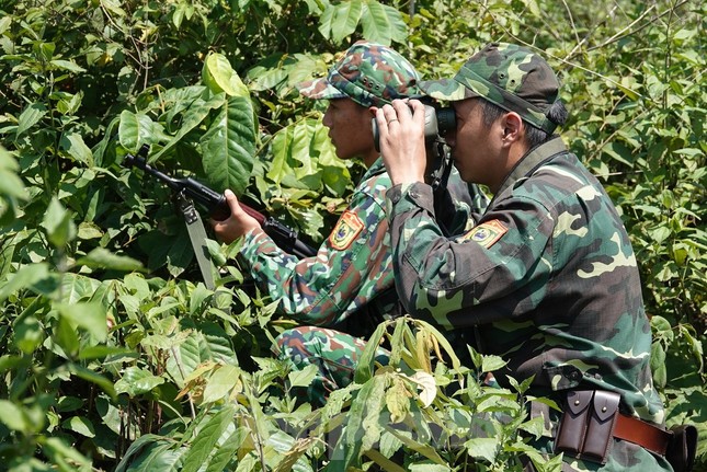 Biên phòng Lao Bảo liên tiếp đánh án trong mùa dịch ảnh 7