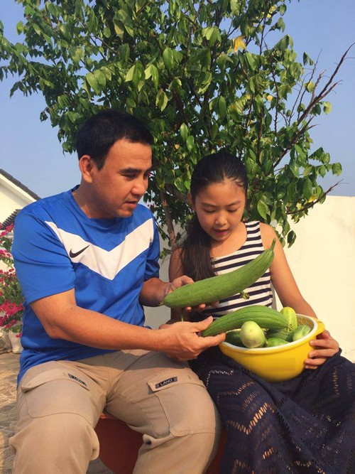 Hai vườn rau sạch của Công Vinh, Quyền Linh ảnh 11