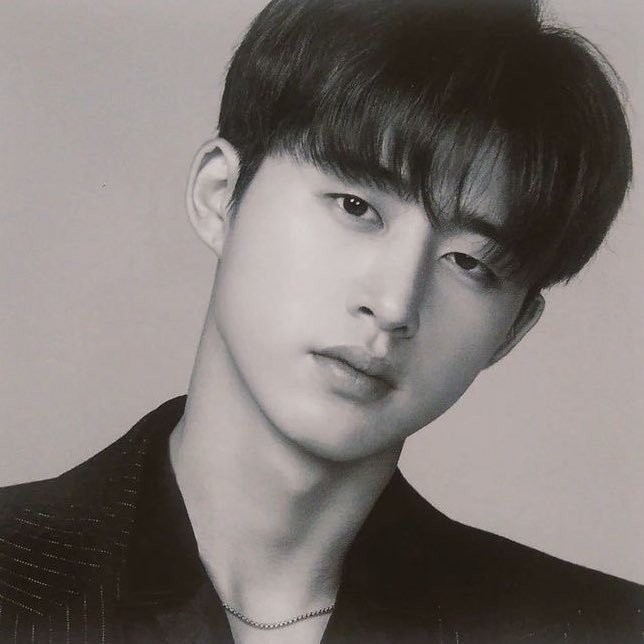 Lee Young Ae, Park Seo Joon và loạt sao Hàn quyên tiền tỷ chống dịch Covid-19 ảnh 4