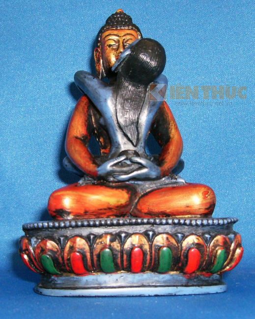 Khi được đưa vào Phật giáo, Shakti không còn mang ý nghĩa nguyên bản là sự sáng tạo và sinh sản. Thay vào đó, Shakti trở thành biểu tượng của trí tuệ