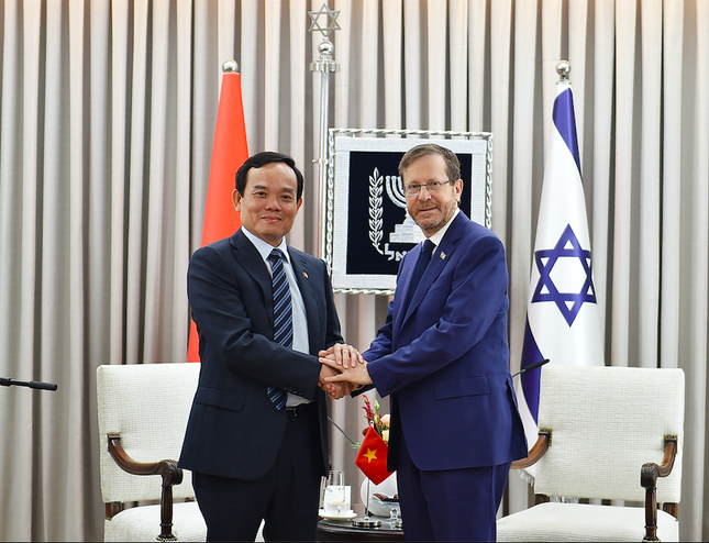 Phó Thủ tướng Trần Lưu Quang hội kiến Tổng thống Israel ảnh 1