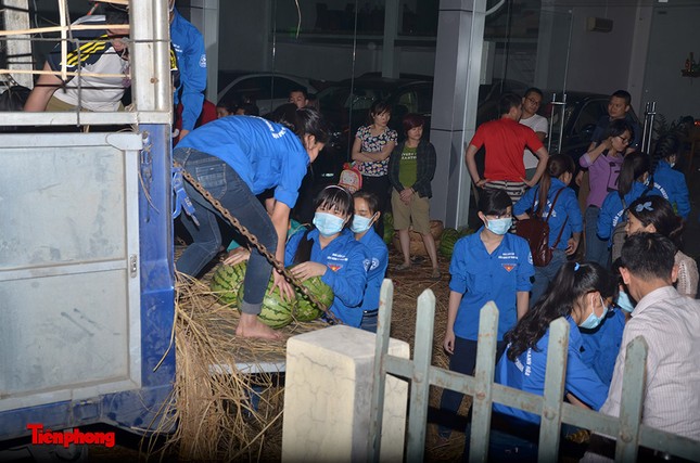Sinh viên trắng đêm chuyển dưa hỗ trợ miền Trung ảnh 5