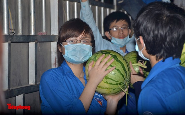 Sinh viên trắng đêm chuyển dưa hỗ trợ miền Trung ảnh 6