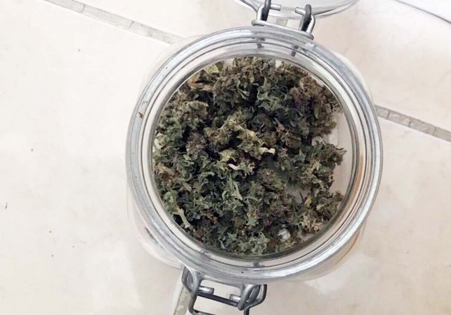 Nhóm thanh niên thuê chung cư ở Hà Nội để trồng cần sa ảnh 3