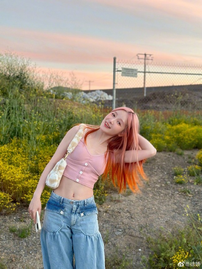 Con gái Châu Tinh Trì bị fan Lisa (BlackPink) tấn công ảnh 1