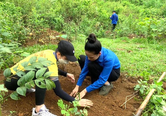 Tặng vườn ươm thanh niên với 15.000 cây giống cho gia đình trẻ miền núi ảnh 12